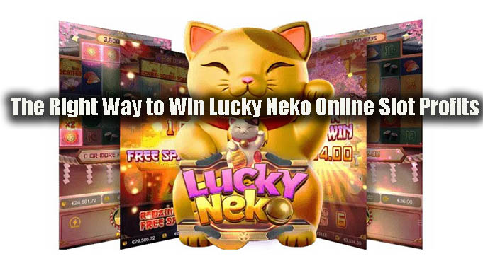 The Right Way to Win Lucky Neko Online Slot Profits